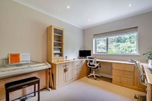 Photo 12- click for photo gallery